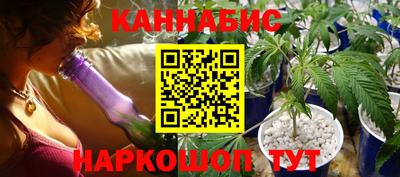 индика Аша