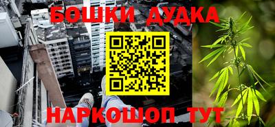 индика Аша