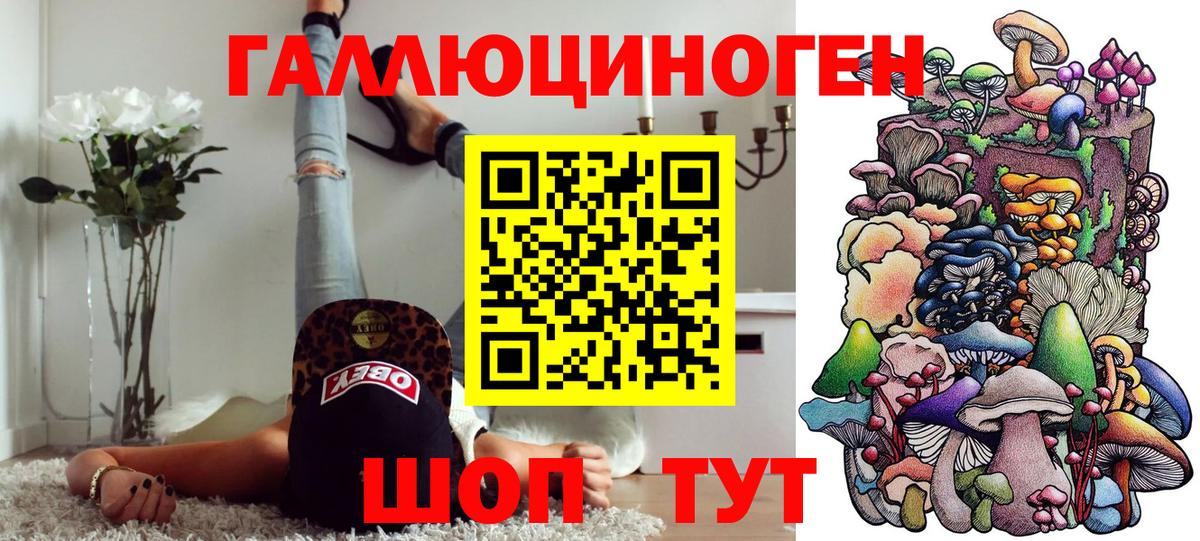 Галлюциногенные грибы MAGIC MUSHROOMS  Вход с VPN  Старая Русса  Галлюциногенные грибы Psilocybe 